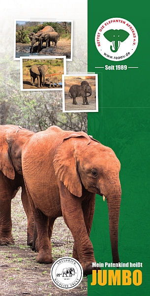 Rettet die Elefanten - Elefanten e.V. | Afrikas die Afrikas Adoptiere Elefantenwaisen Rettet einen Broschüren - e.V