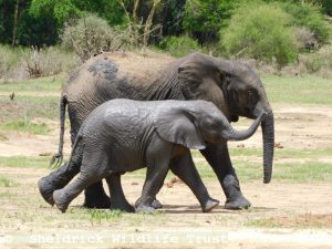Amali auf einem Spaziergang mit Baby Mwana
