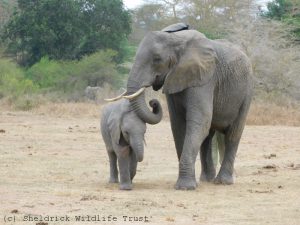 Mwana mit Mama Murera