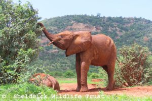 Busara