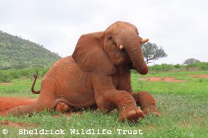 Kilulu