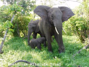 Lima Lima mit Baby Lenny und Kindermädchen Enkesha