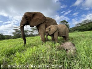 V.l.n.r.: Murera, Mwana und die schlafende Sulwe