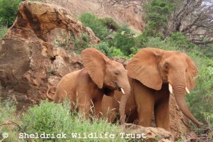 Dabida (links) mit Ndotto