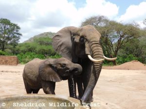 Murera mit Mwana