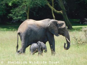 Sulwe und Sonje