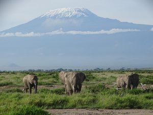 Angelina und ihre Familie vor dem Kilimanjaro