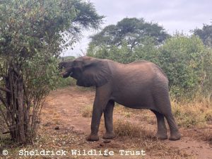 Quanza