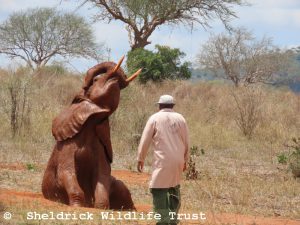 Thamana mit Keeper Robert