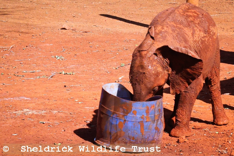 Kipekee