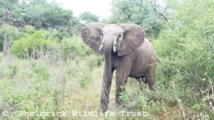 Mukutan