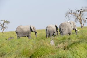 Mitglieder der AA-Familie mit Acholi (dritte von rechts) und ihrer erst zwei Stunden alten Tochter